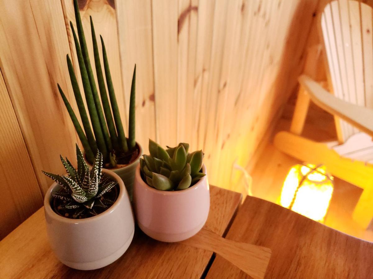 New Buddha Bing Unique Experience Cottage And Cabins 토버모리 외부 사진